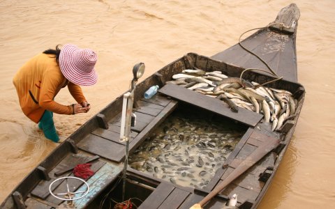 Kambodża z DiscoverAsia - przygoda z plecakiem (6).jpg